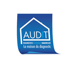 Audit