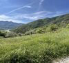Immobilier sur Roquebilli&egrave;re : Terrain de 0 pieces